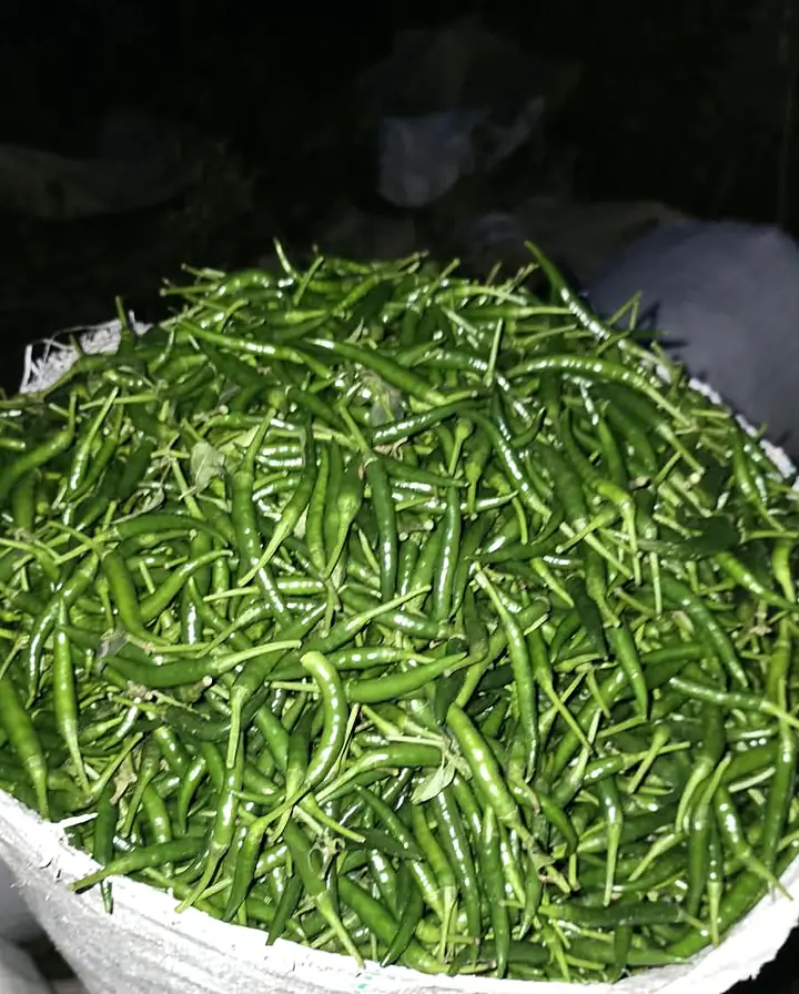 Harvest