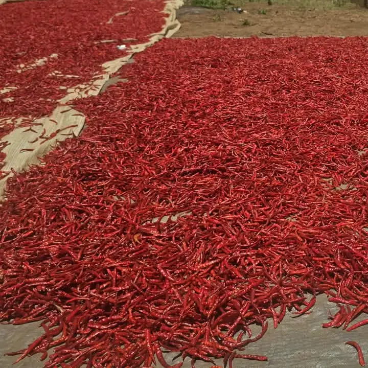 Whole dried chilli