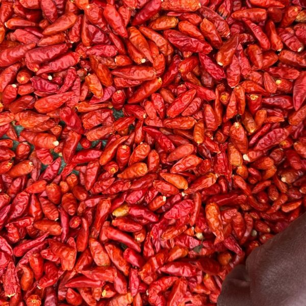 Dried Chilli- African Bird's eye