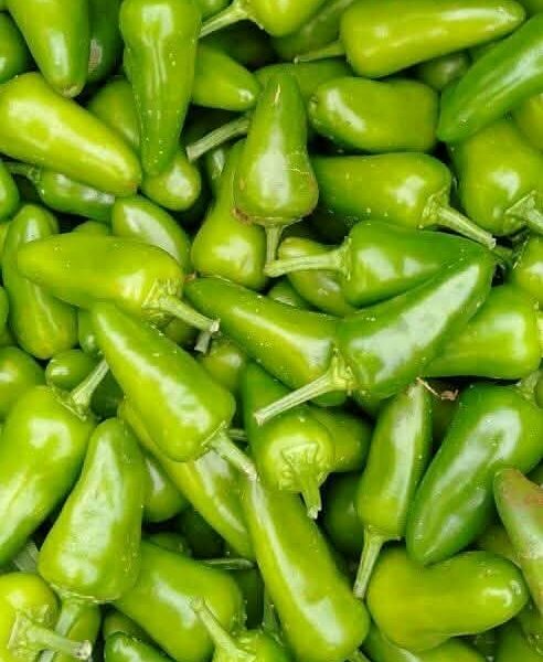 Fresh Green Chilli – Jalapeño