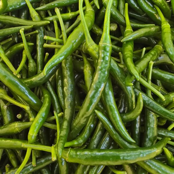 Fresh Green Chilli – Bird's Eye