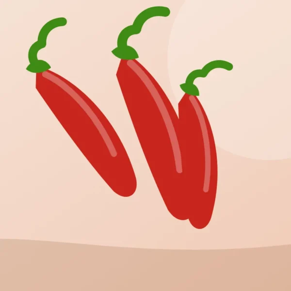 Illustration of fresh red chilli
